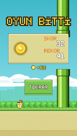 Wingo Bird Screenshot 3
