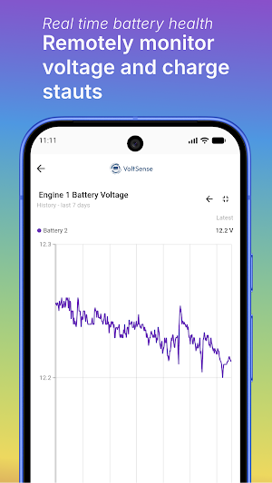 VoltSense Screenshot 2