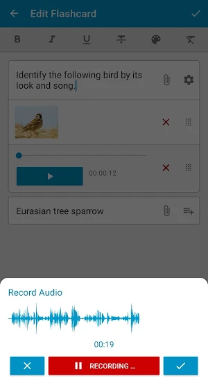 Flashcards App - Create, Study, Learn Screenshot 3
