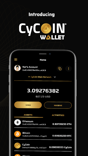 CyWallet Screenshot 3
