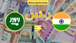Saudi Riyal X Indian Rupee Screenshot 3
