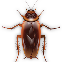 Cockroach Simulator - Cat Toys