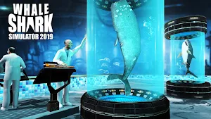 Whale Shark Attack Simulator Screenshot 0