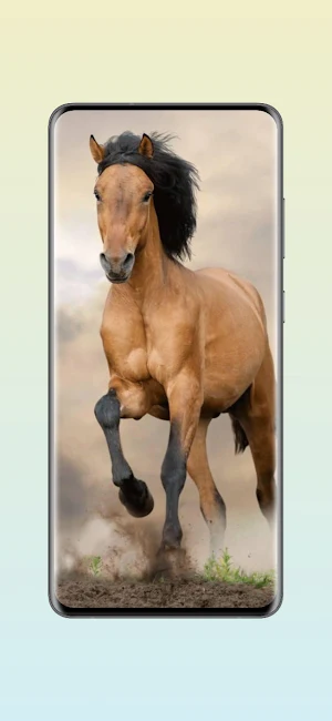 Horse Live Wallpapers HD Screenshot 2