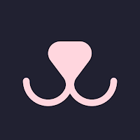 WeatherPaw: Dog Walking & Care