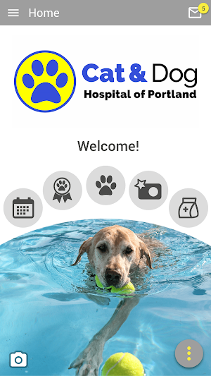 Cat & Dog Hospital of Portland Screenshot 0