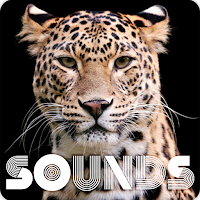 Leopard Sound Ringtones