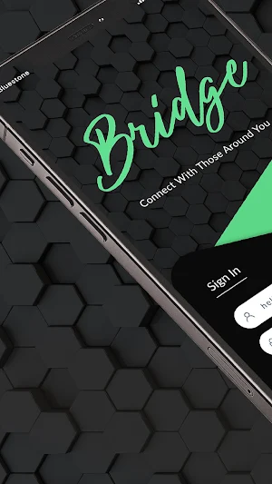 Bridge-App Screenshot 0