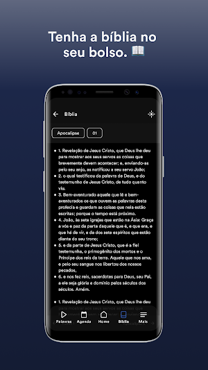IDAMAZÔNIA Screenshot 2