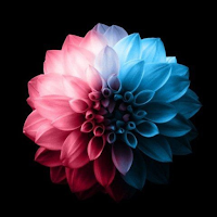 خلفيات جميله للشاشه