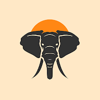 Afrifeel - Experience Africa