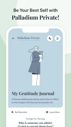 Palladium+ Screenshot 3