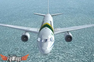 Weather Flight Sim Viewer Screenshot 3