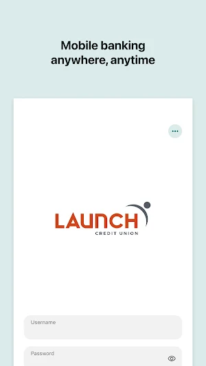 Launch Credit Union Screenshot 0