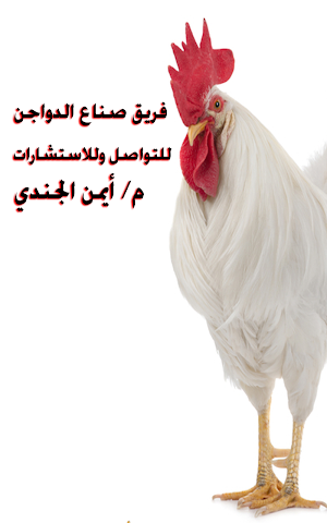 poultrymakers Screenshot 3