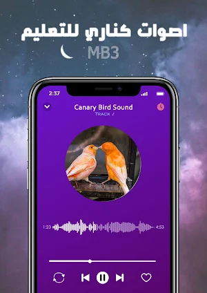 canary bird sound screenshot 1