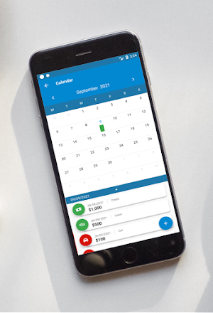 Financial Records - budget Screenshot 3