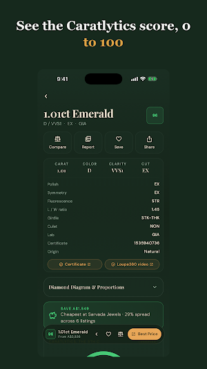 Carat Hunter: Diamond Prices Screenshot 1