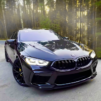 Real Cars Driving simulator 3D