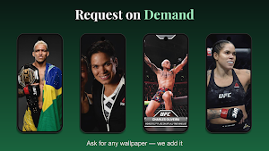 MMA Wallpaper HD & 4K Screenshot 2