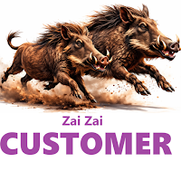 Zai Zai Customer