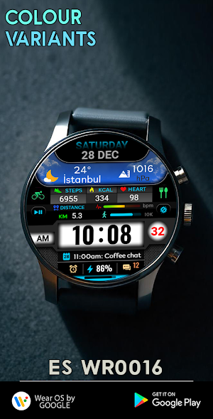 ES WR0016 Screenshot 2
