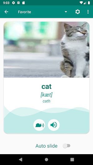 Welsh English Dictionary Screenshot 2