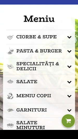 Casa Pitorească Screenshot 3