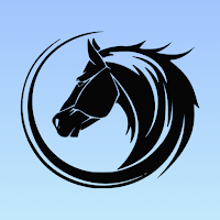 Black Horse Wallpaper