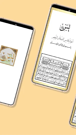 Surah Yaseen Urdu Translation Screenshot 2