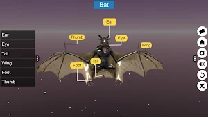 Diversity in Living: Mammalia Screenshot 3