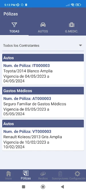 ConsultoriaEnRiesgos Screenshot 2