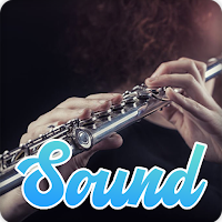 Flute Music Sounds Effect