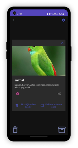 WordBox: Vocabulary Hero Screenshot 2