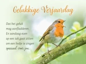 Gelukkige Verjaardag Screenshot 1