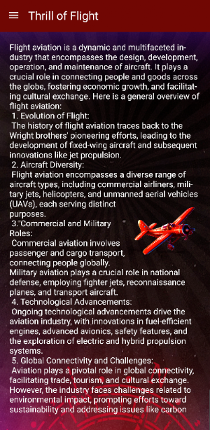 Thrill of Flight Screenshot 3