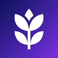 Bloom Habits
