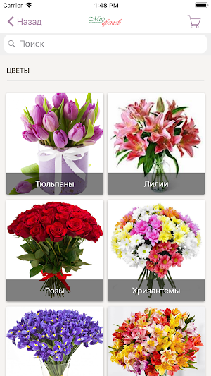 Доставка Цветов Абакан Screenshot 1