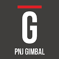 PNJ GIMBAL