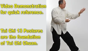 Tai Chi 13 Postures Screenshot 2