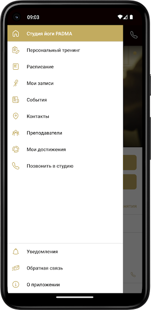 Студия йоги PADMA Screenshot 2