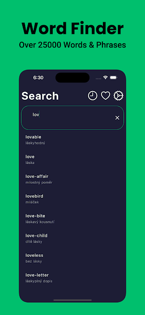 Czech Dictionary English Screenshot 2