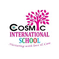 Cosmic International School
