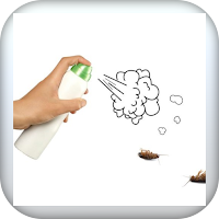 علاج صراصير