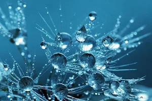 Drops wallpapers Screenshot 0
