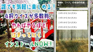 クイズ for 千と千尋の神隠し 。ゲームアプリ Screenshot 1