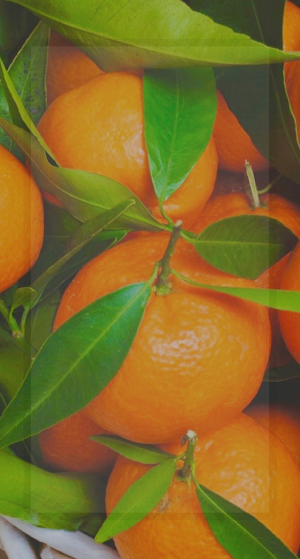 Fresh Orange Wallpaper Screenshot 2