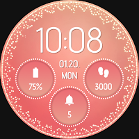 SW2604 Digital Watch