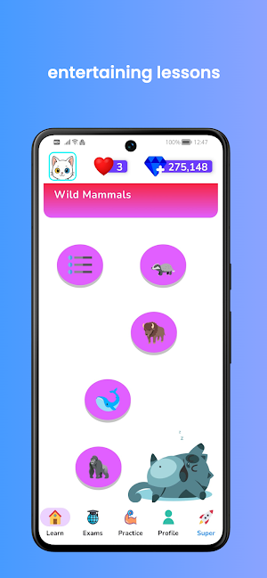 Pamuk: Vocabulary Builder Screenshot 1