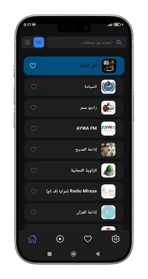 Radio Sudan Pro Screenshot 1